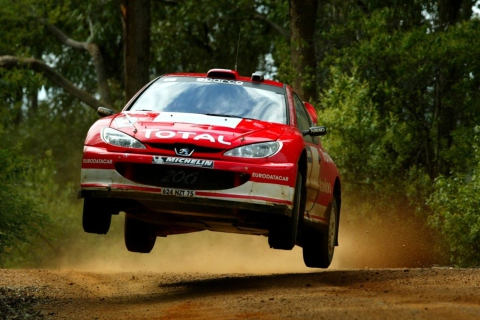 Обои Auto Racing WRC Peugeot 480x320