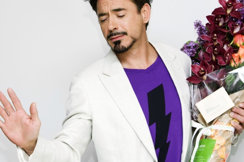 Robert Downey Jr screenshot #1 480x320