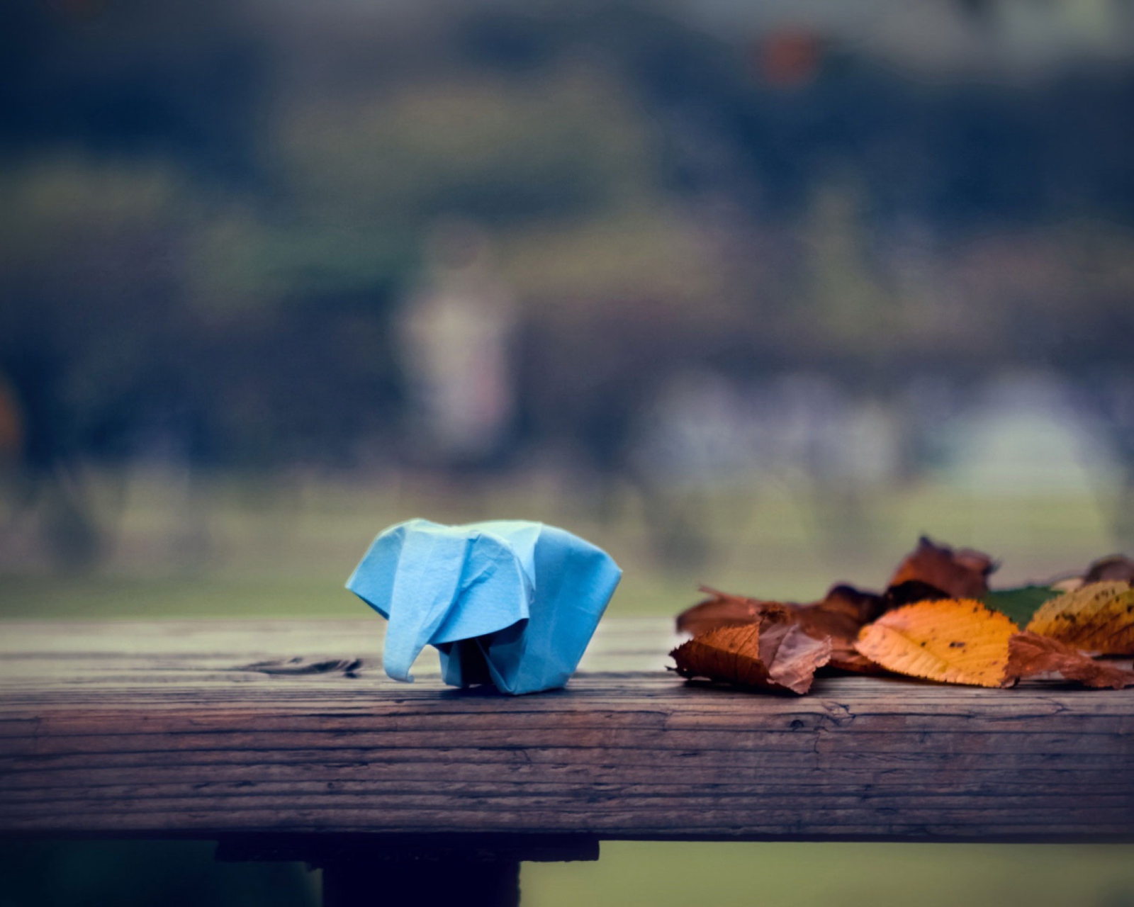 Blue Elephant Origami wallpaper 1600x1280