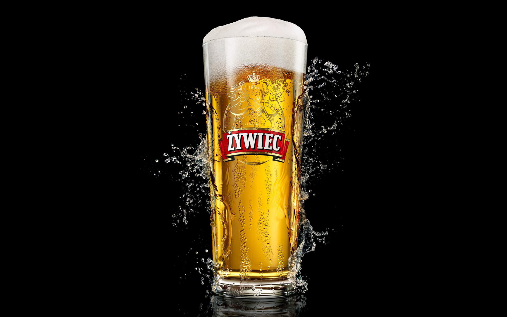 Обои Zywiec Beer 1680x1050
