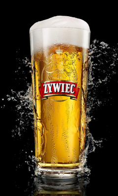 Screenshot №1 pro téma Zywiec Beer 240x400