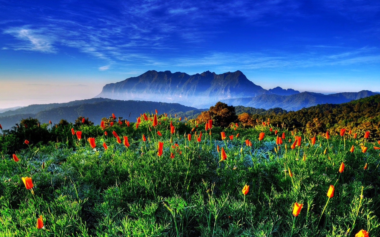 Screenshot №1 pro téma Spring has come to the mountains Thailand Chiang Dao 1280x800