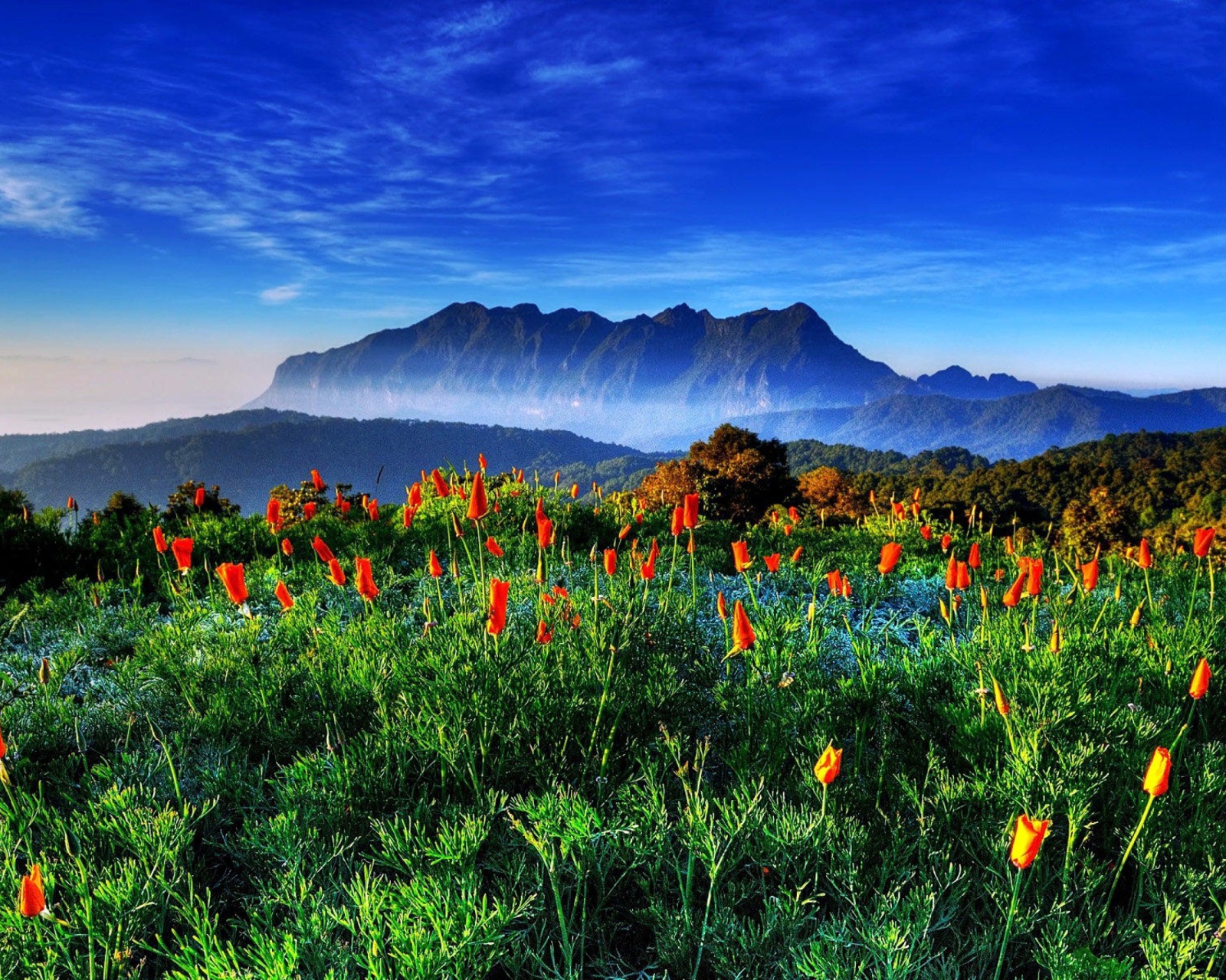 Spring has come to the mountains Thailand Chiang Dao wallpaper 1600x1280