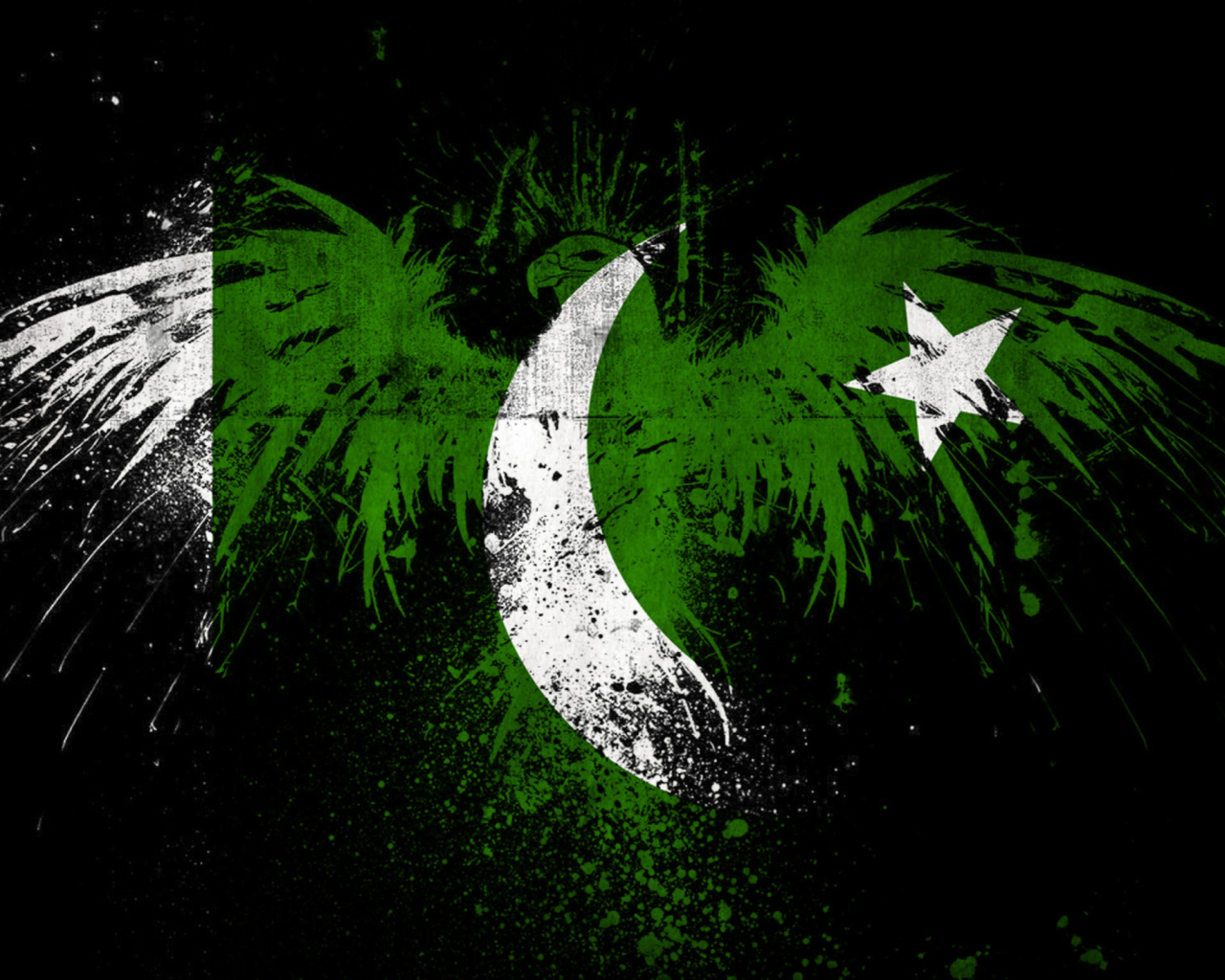 Pakistan Flag wallpaper 1280x1024