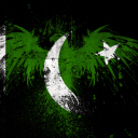 Das Pakistan Flag Wallpaper 128x128