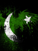 Sfondi Pakistan Flag 132x176