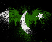Pakistan Flag wallpaper 176x144