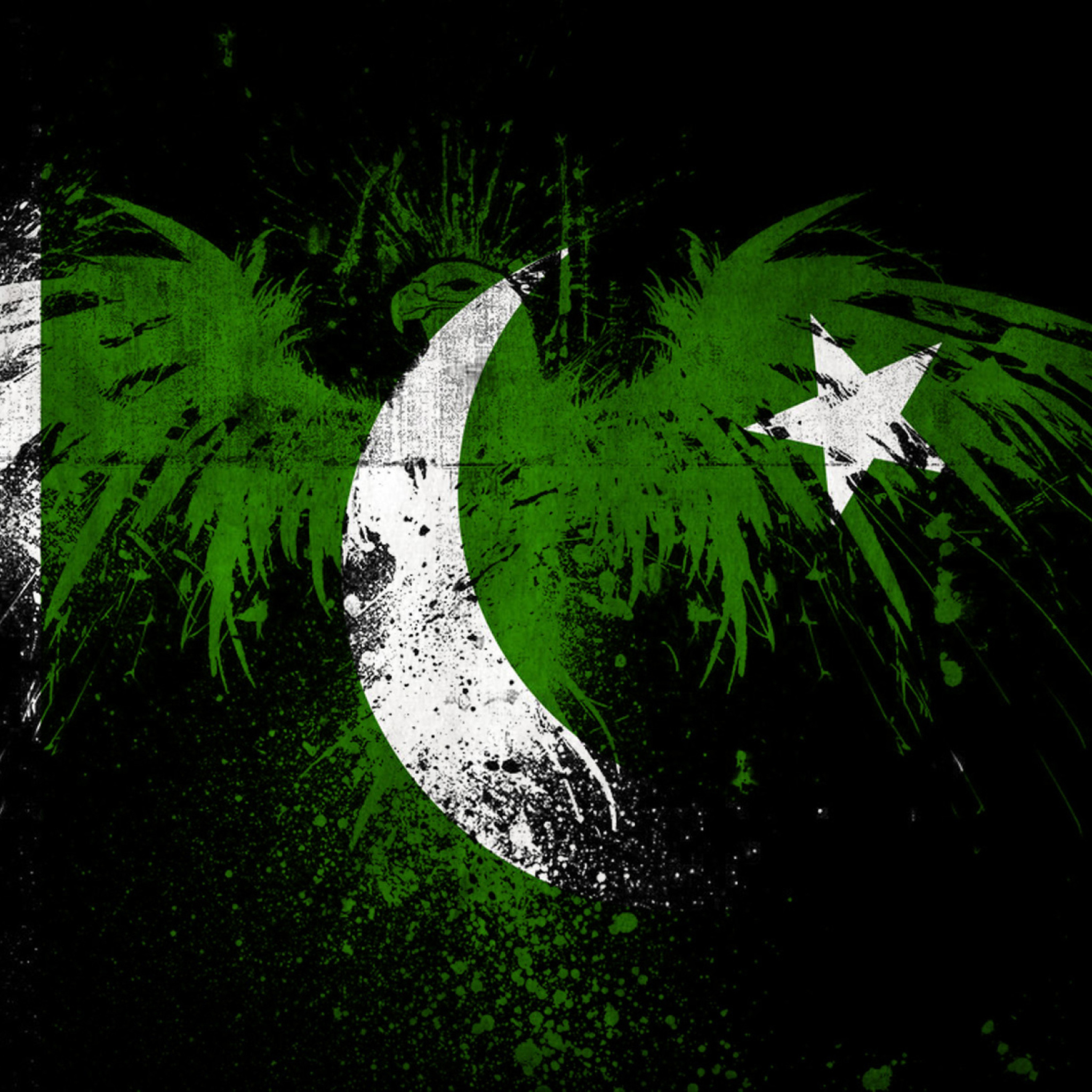 Screenshot №1 pro téma Pakistan Flag 2048x2048