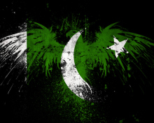 Screenshot №1 pro téma Pakistan Flag 220x176