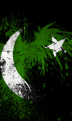 Screenshot №1 pro téma Pakistan Flag 240x400