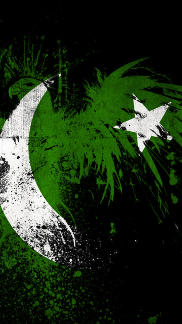 Fondo de pantalla Pakistan Flag 360x640