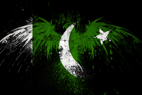 Pakistan Flag wallpaper 480x320