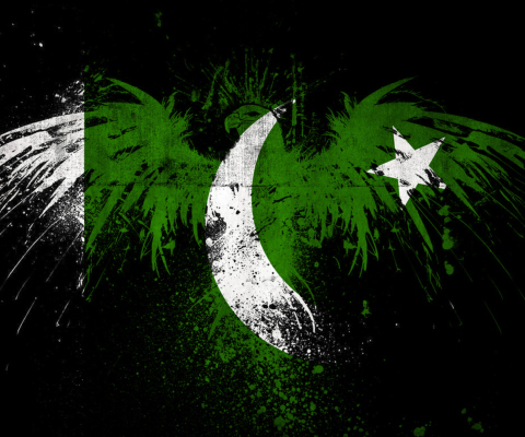 Обои Pakistan Flag 480x400