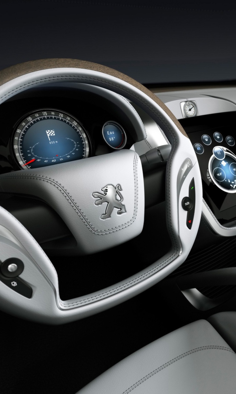 Peugeot 908 Rc Interior screenshot #1 768x1280