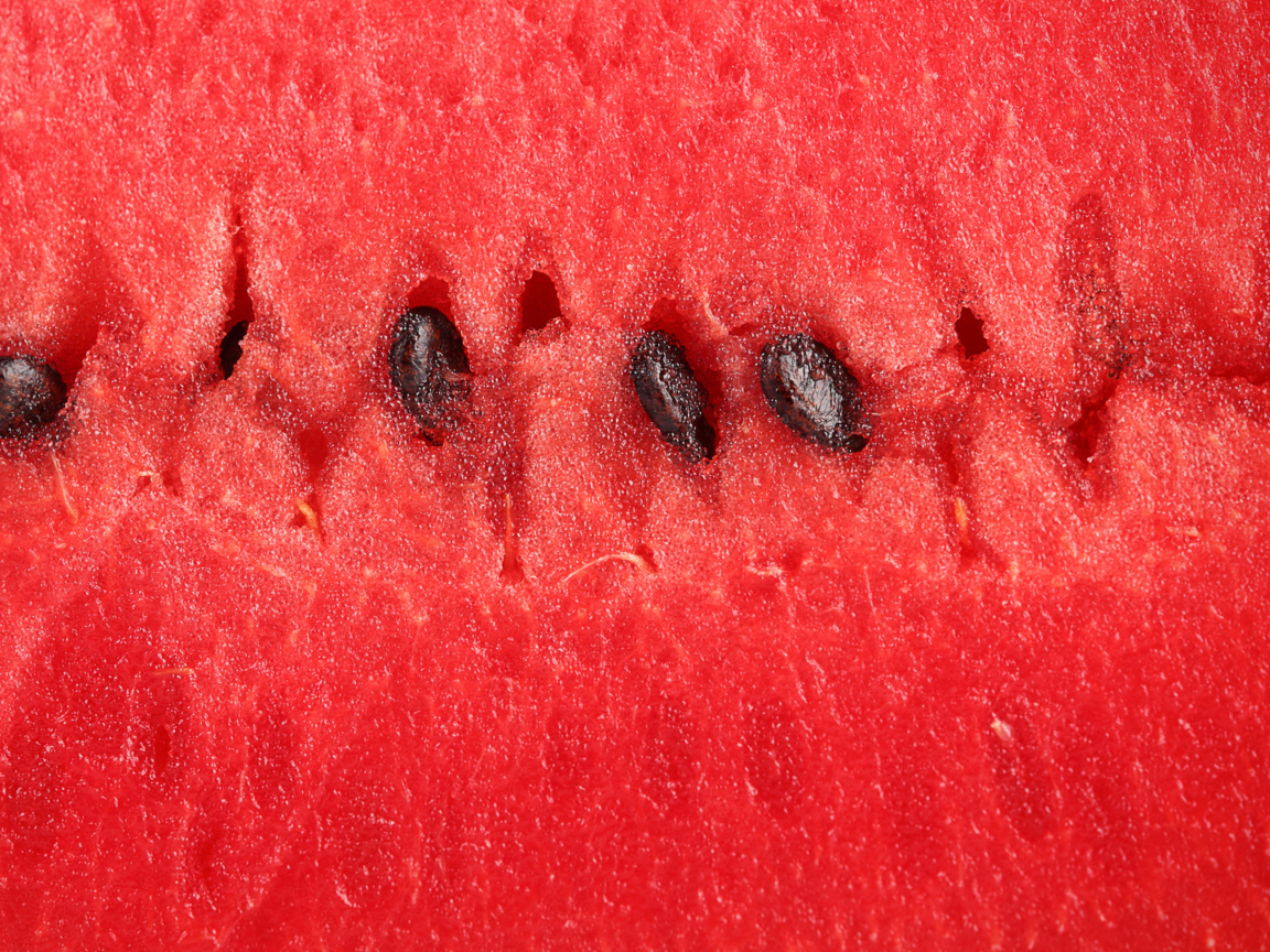 Sfondi Juicy Watermelon 1152x864