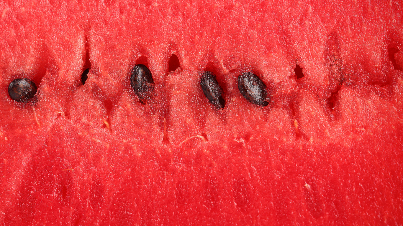 Juicy Watermelon wallpaper 1366x768
