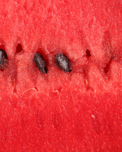 Sfondi Juicy Watermelon 176x220