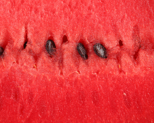 Das Juicy Watermelon Wallpaper 220x176