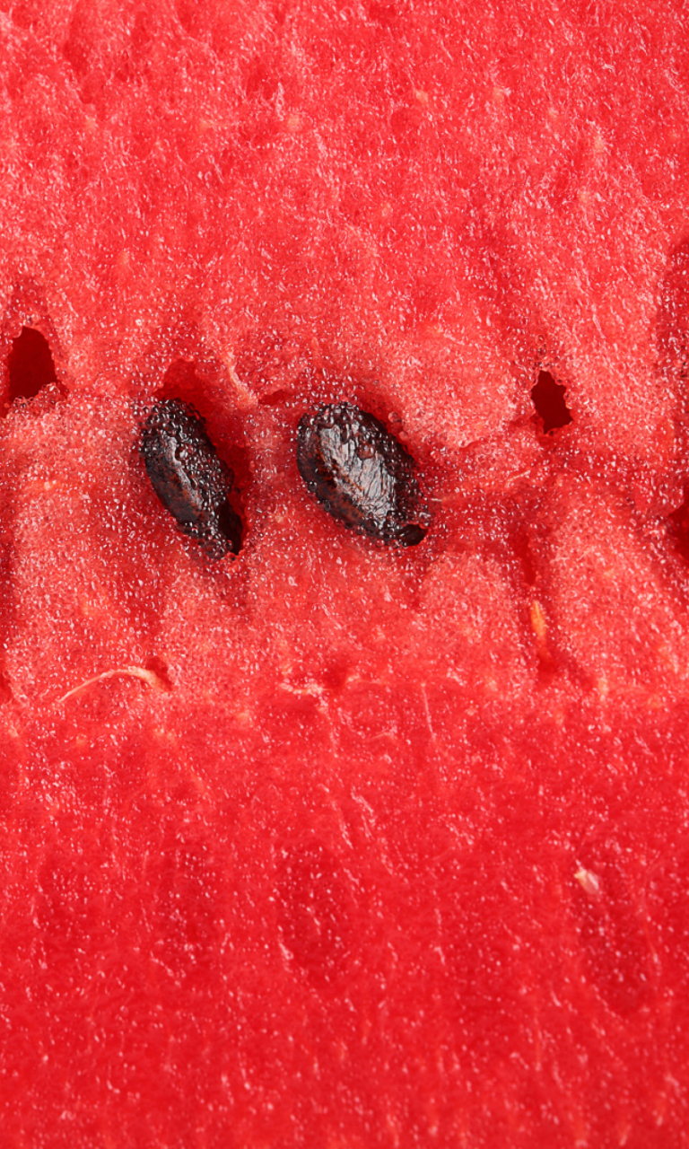 Sfondi Juicy Watermelon 768x1280