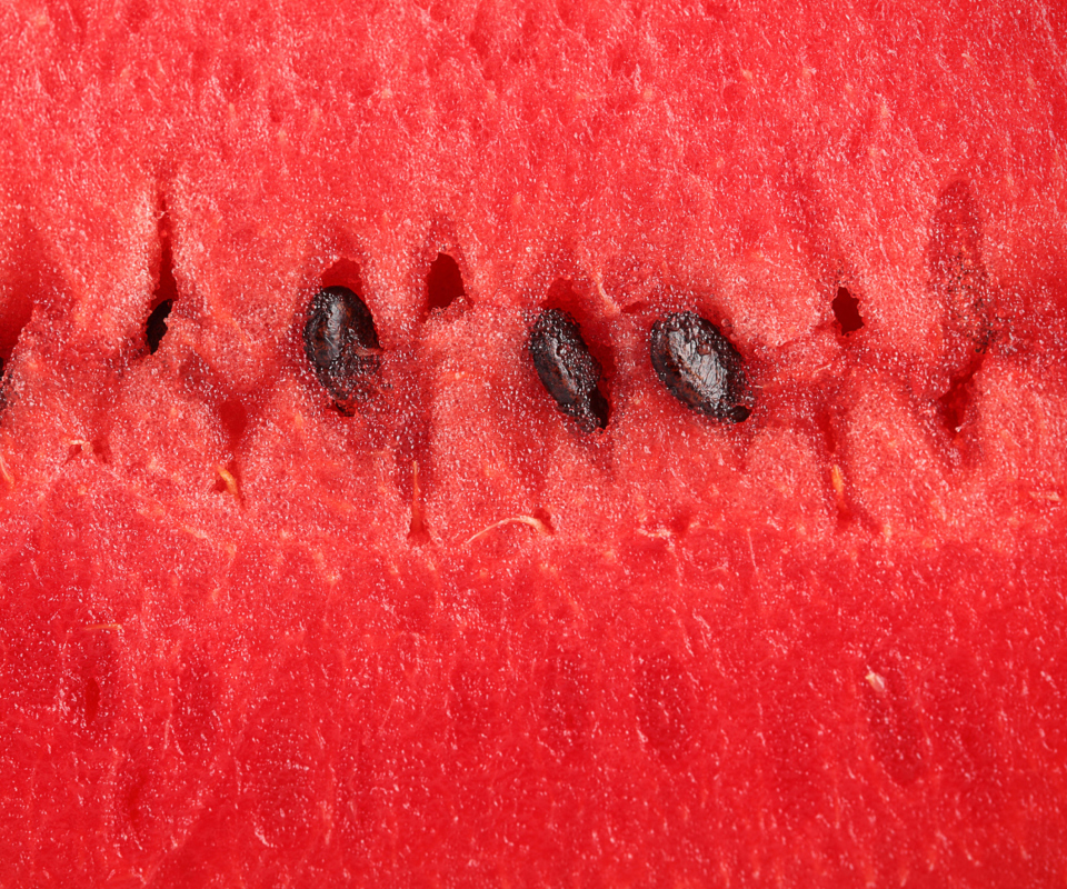 Juicy Watermelon wallpaper 960x800