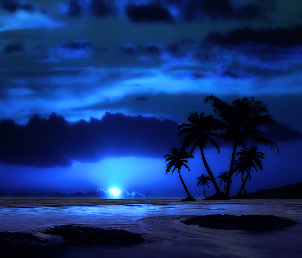 Fondo de pantalla Palm Trees At Night 1200x1024