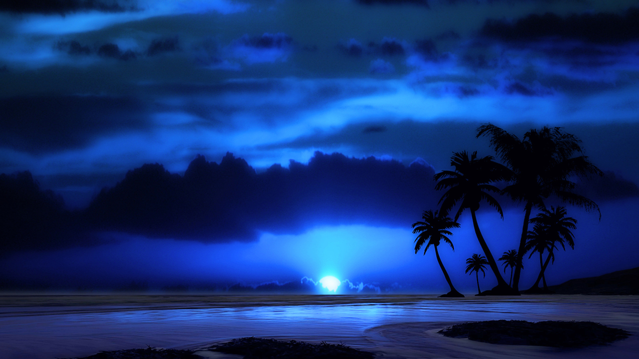 Screenshot №1 pro téma Palm Trees At Night 1280x720