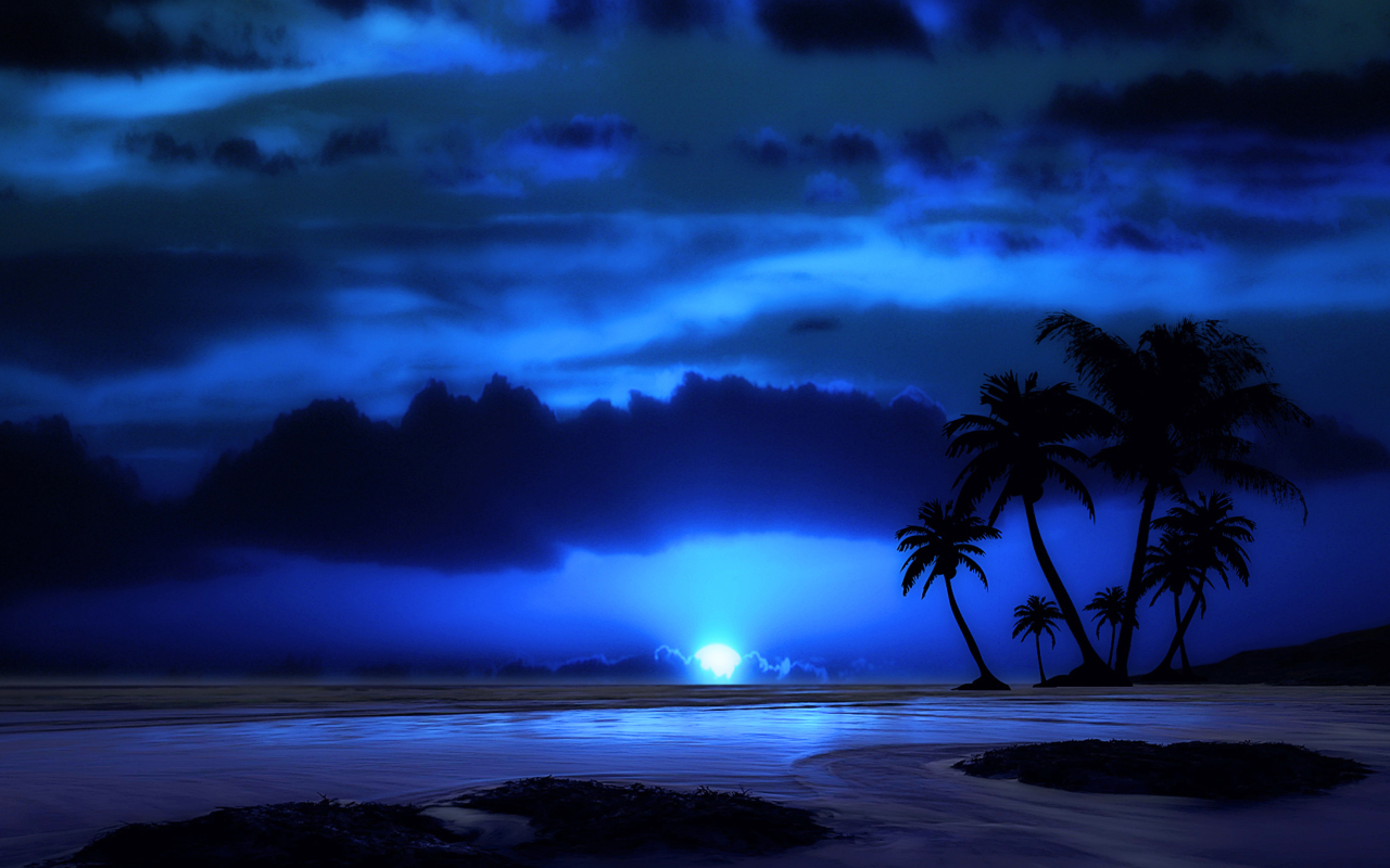 Screenshot №1 pro téma Palm Trees At Night 1280x800