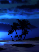 Fondo de pantalla Palm Trees At Night 132x176