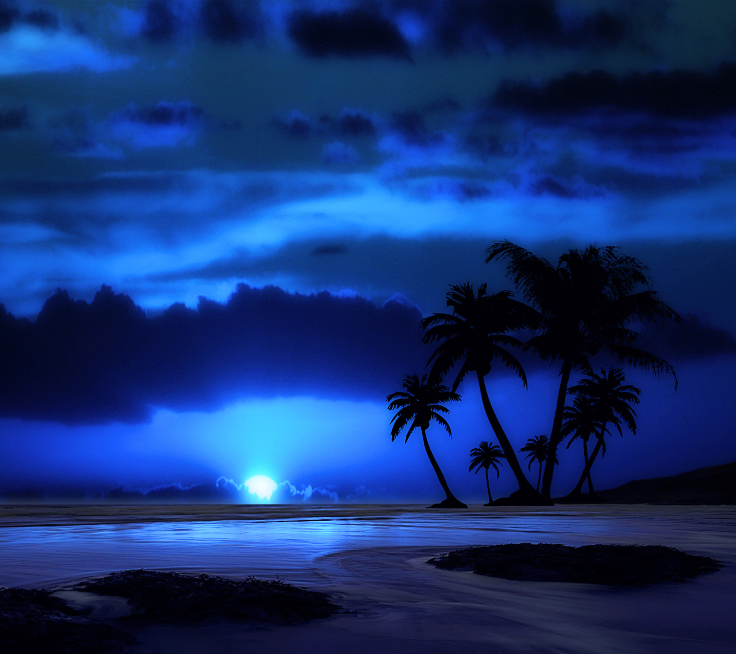 Fondo de pantalla Palm Trees At Night 1440x1280