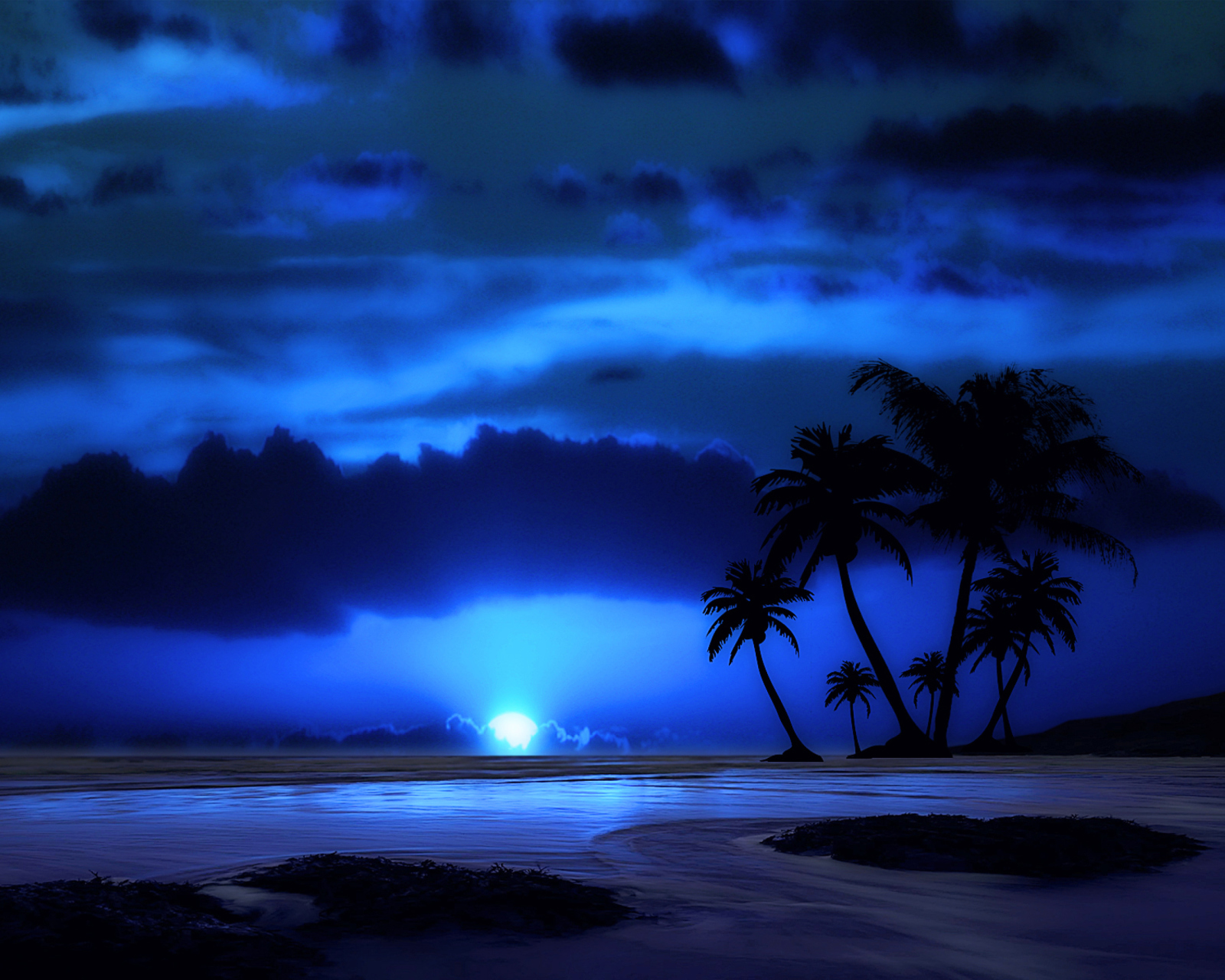 Fondo de pantalla Palm Trees At Night 1600x1280