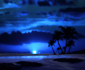 Fondo de pantalla Palm Trees At Night 176x144