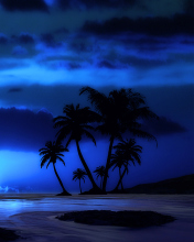 Screenshot №1 pro téma Palm Trees At Night 176x220