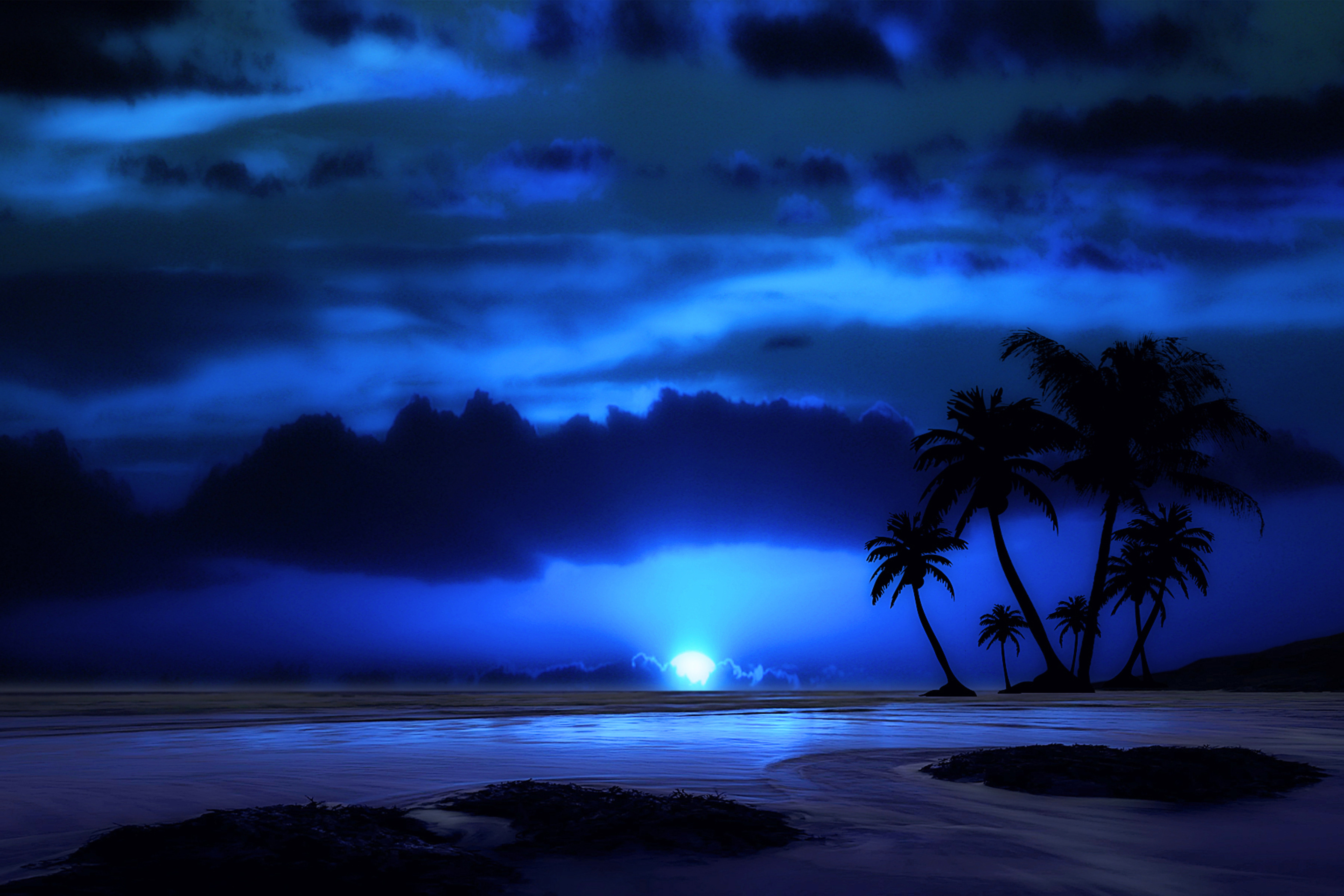 Screenshot №1 pro téma Palm Trees At Night 2880x1920