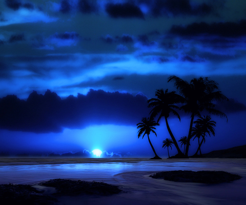 Screenshot №1 pro téma Palm Trees At Night 480x400