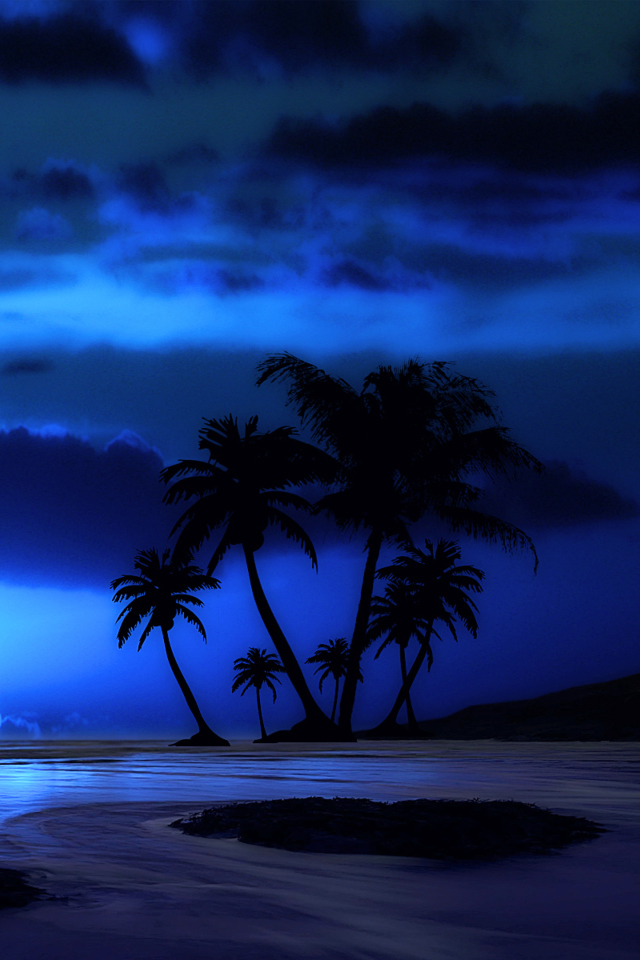 Das Palm Trees At Night Wallpaper 640x960