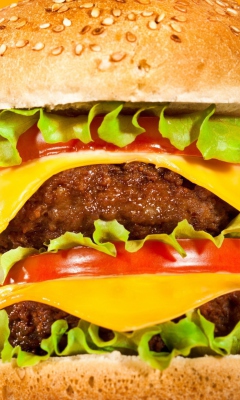 Double Cheeseburger wallpaper 240x400
