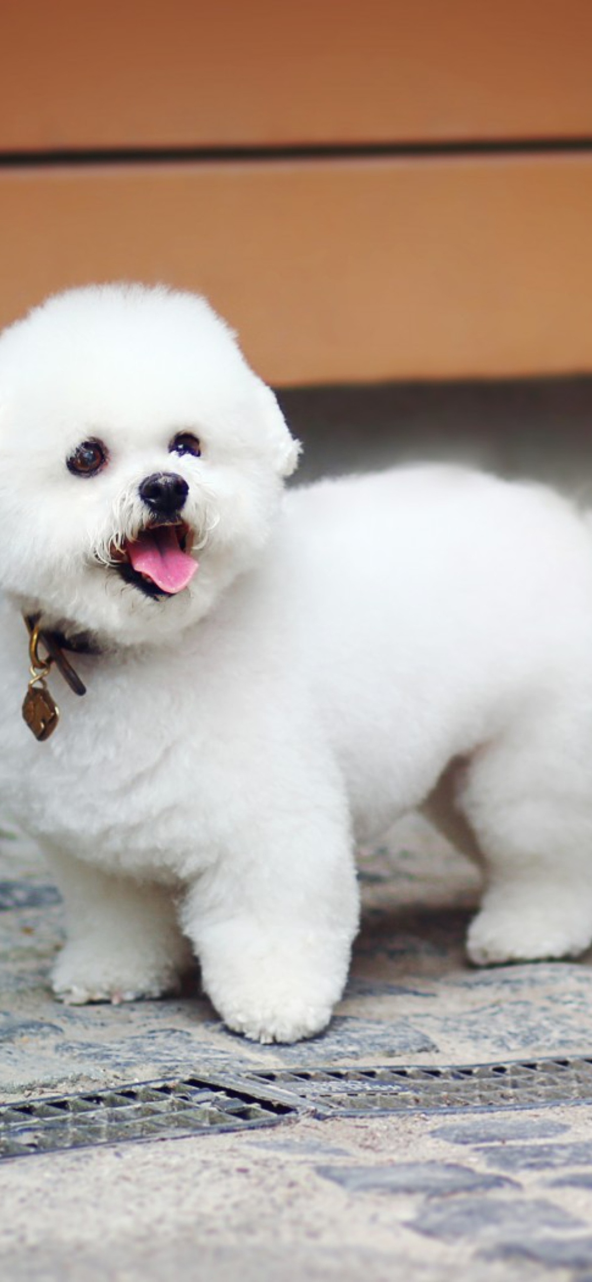 White Plush Puppy screenshot #1 1170x2532