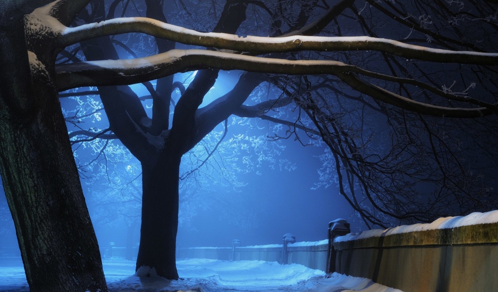 Snowy Night in Forest screenshot #1 1024x600