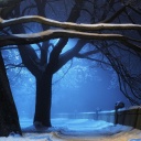 Snowy Night in Forest screenshot #1 128x128