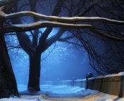 Snowy Night in Forest screenshot #1 176x144