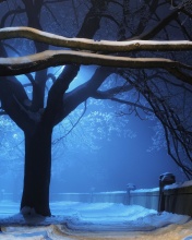 Snowy Night in Forest screenshot #1 176x220