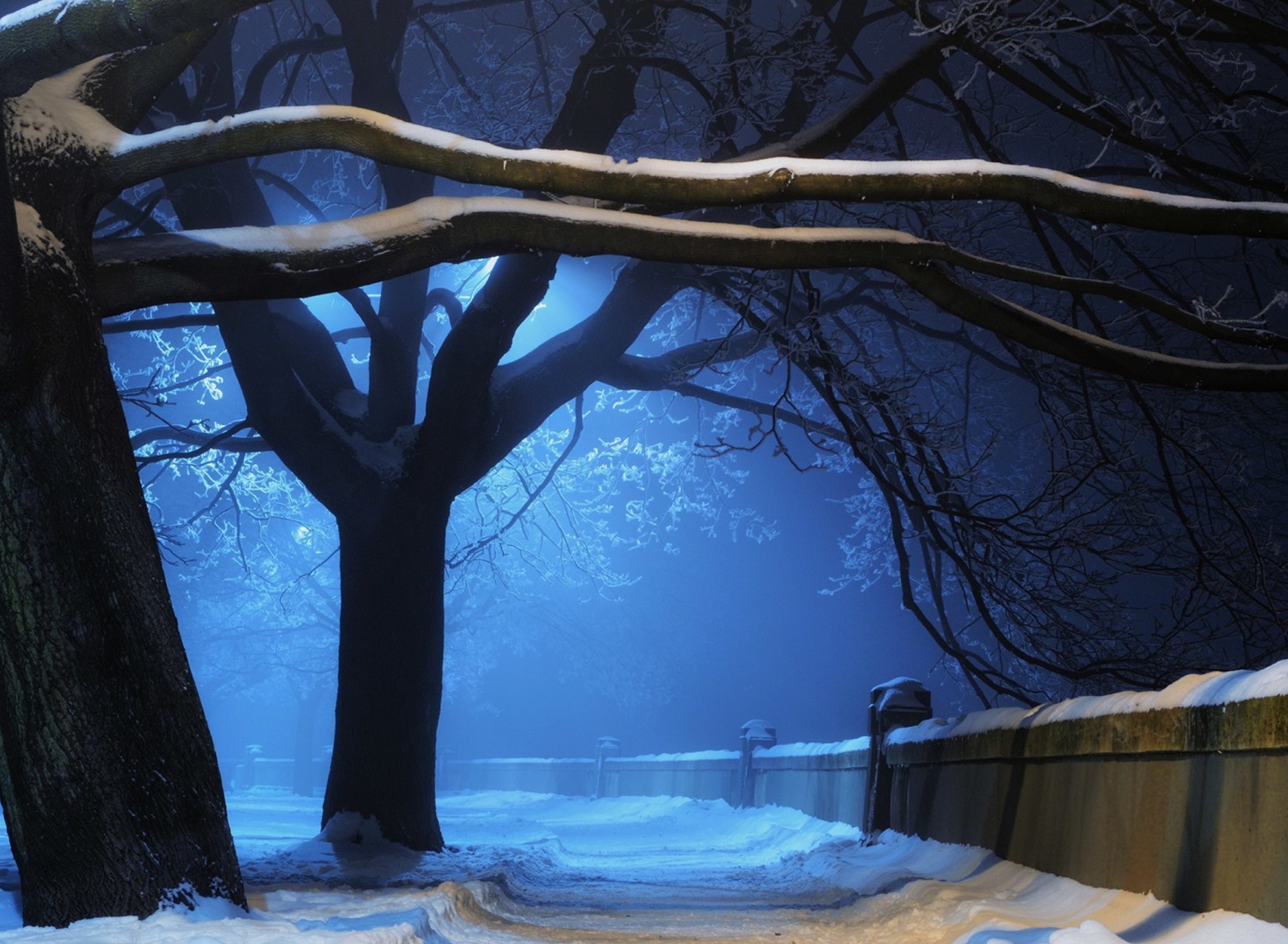 Sfondi Snowy Night in Forest 1920x1408