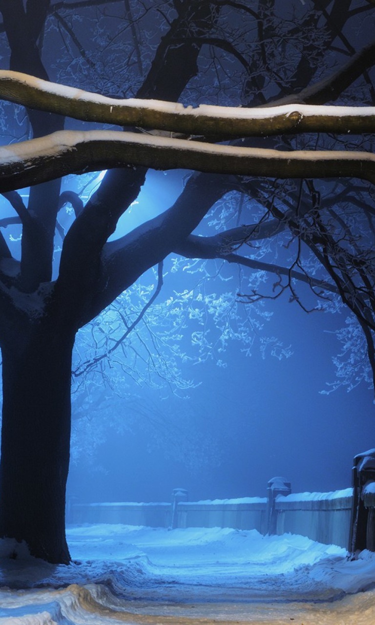 Das Snowy Night in Forest Wallpaper 768x1280