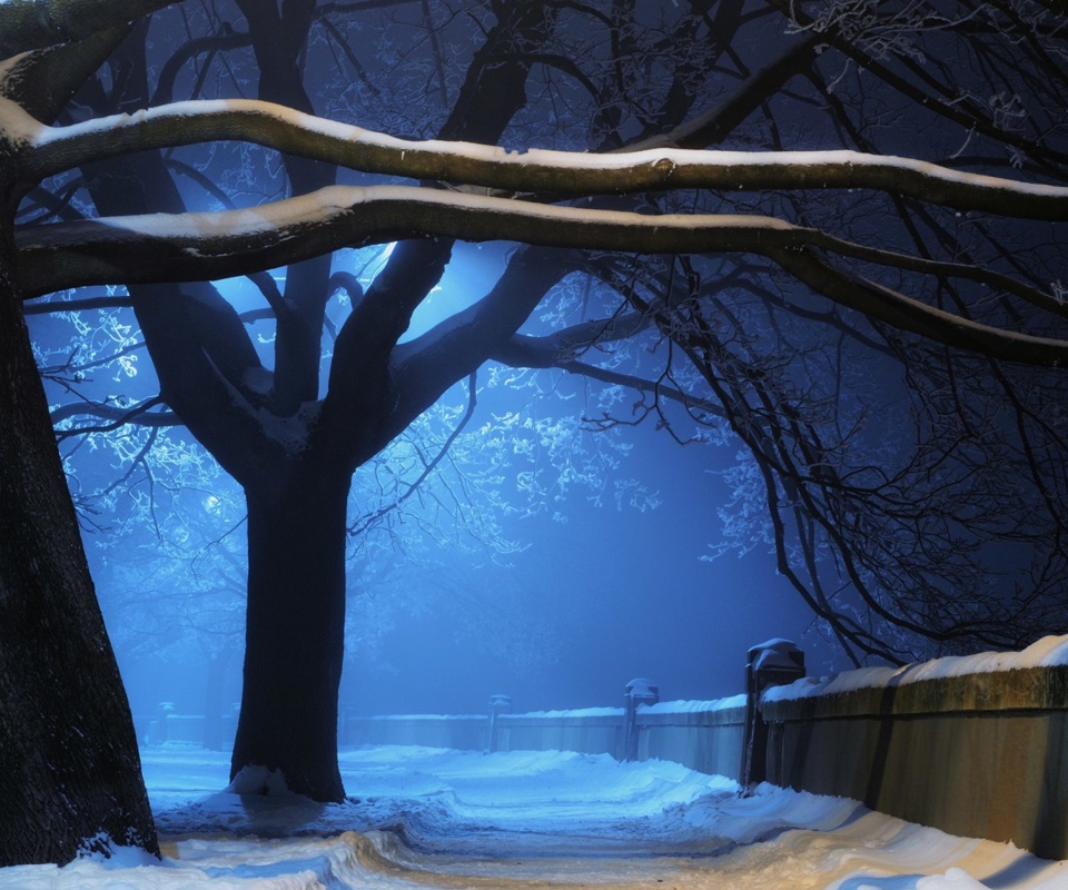 Das Snowy Night in Forest Wallpaper 960x800