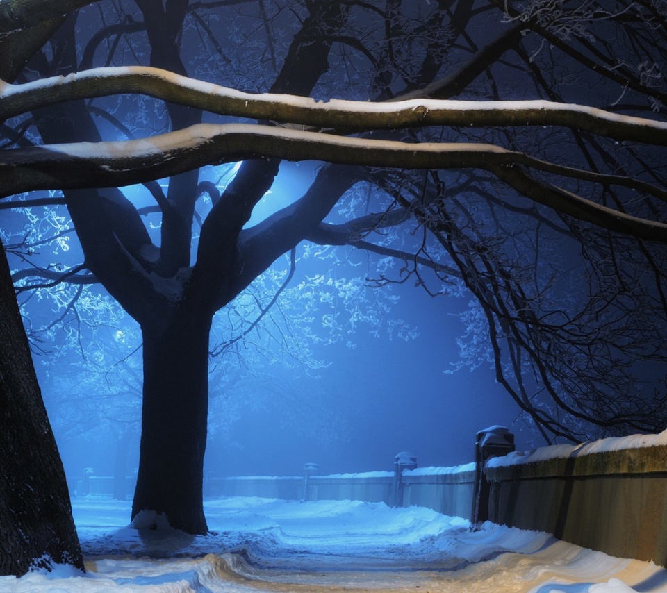Das Snowy Night in Forest Wallpaper 960x854