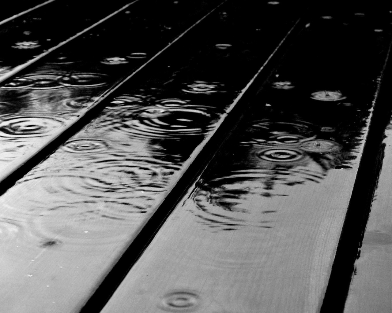 Sfondi Black Rain 1280x1024