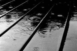 Free Black Rain Picture for Android, iPhone and iPad