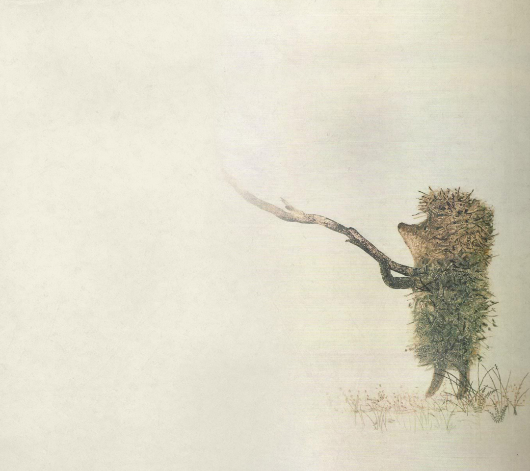 Das Hedgehog In Fog Russian Cartoon Wallpaper 1080x960