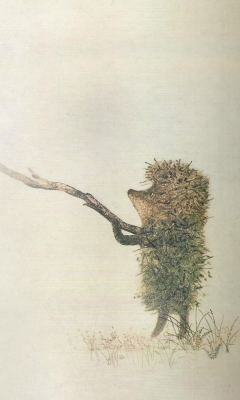 Das Hedgehog In Fog Russian Cartoon Wallpaper 240x400