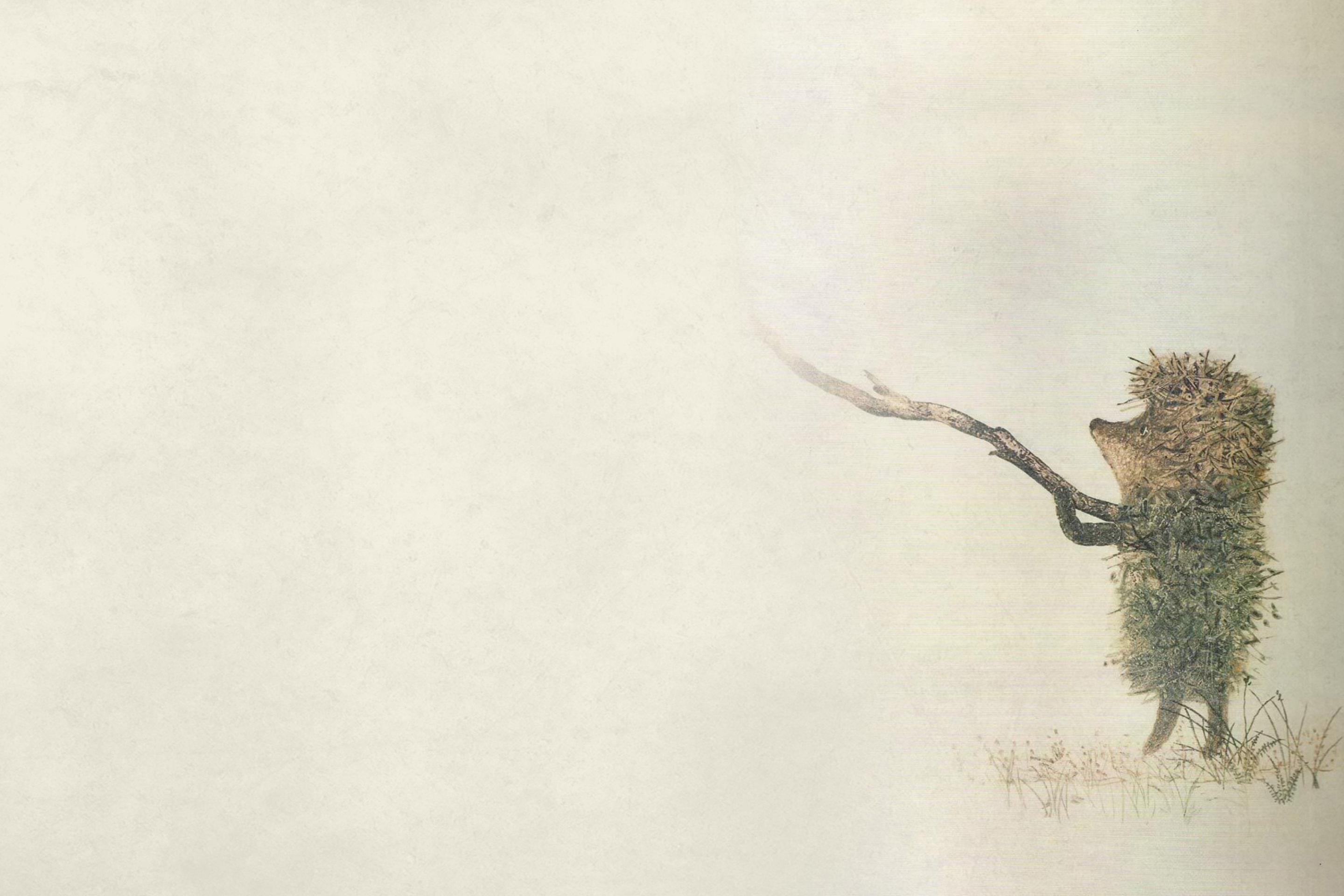 Hedgehog In Fog Russian Cartoon wallpaper 2880x1920